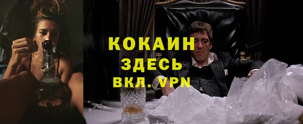 мяу мяу мука Абдулино