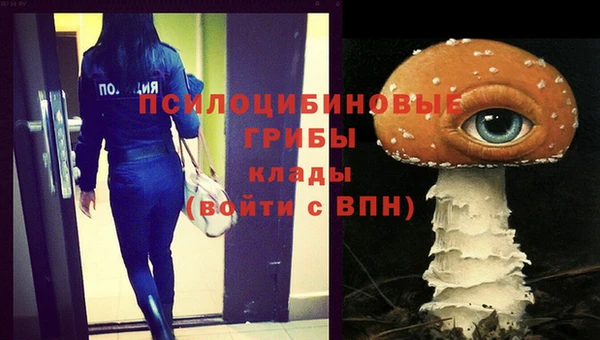 мяу мяу мука Абдулино