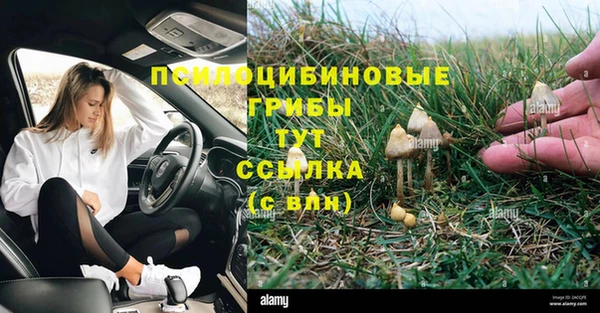 амфетамин Алексеевка