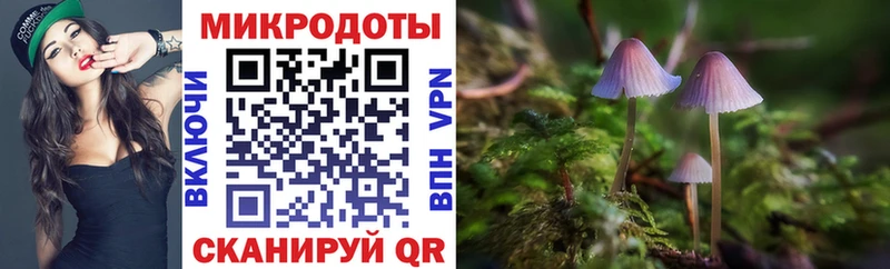 Псилоцибиновые грибы Cubensis Карабаново